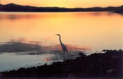 Another stunning sunset at Lake Awoonga