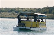 Noosa River hire boat