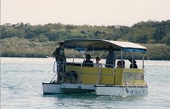 Noosa River