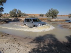 Coongie Lake - Crossing overflow from Coongie Lake- May 09 