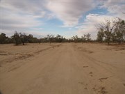 Sandy floodplain near waterhole