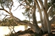 Burkes Waterhole