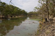Monoman Creek