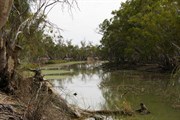 Monoman Creek