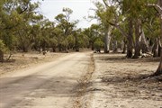 Monoman Creek
