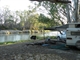 Camp Site On Creek
