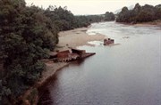 King River