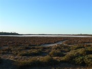Lake Crosbie - South Side at Main Camp Ground - Nov 2006