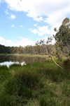 Lake Cobbler 