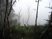 Lake Cobbler in the mist