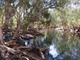Views around Eel Pool