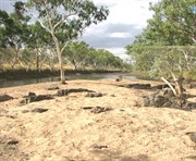 Watrara Pool