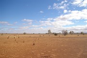 Lake Cohen