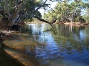 Billabong at Harry Johnston Water