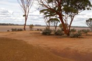 Lake Johnston