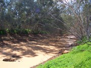 Preservation creek at Depot Glen