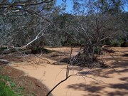 Preservation Creek at Depot Glen