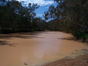 Preservation Creek at Depot Glen
