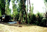 Camping around the Barnett River area