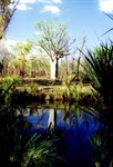 View from a campsite 