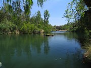 A refreshing waterhole