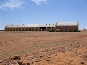Cordillo Downs