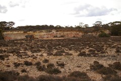 The Breakaways