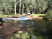 King River in Flood