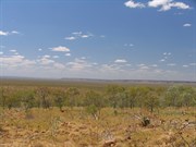 View NE across scrub to Barnett Range 