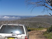 Track cutting through snowgum forest to Mt Blue Rag