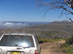 Mount Blue Rag - Track cutting through snowgum forest to Mt Blue Rag 