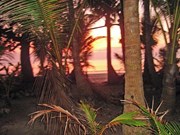Wonga Beach Sunset