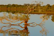 Early Morning at Lake Nallan