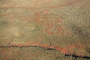 Aerial view of Karijini Eco Retreat site alongside gorges