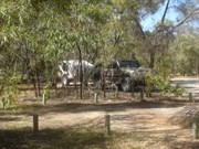12 Mile Yard camp grounds