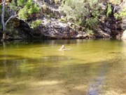 I didnt see the freshie the day I swam there 2005