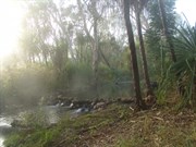 Lorella Springs