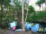 Lorella Springs pool