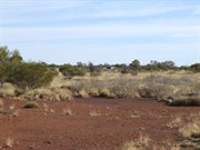 Looking south tpo the shed from Eagle Hussar
