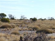 Cleared line running to the N/W (Access to Mt Madley)