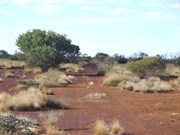 Eagle Highway headed north from Eagle Hussar