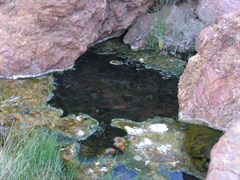 Paralana Hot Springs