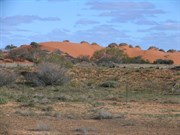 Nice red dunes near William Creek