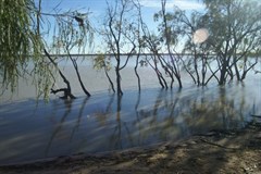 Lake Dunn