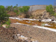 Rum Jungle - Rehabilitated tailings dump behind creek 