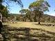 Bluewaterholes Camping area.