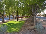 Picnic area in middle of street - shaded