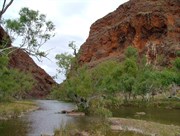 Coppins Waterhole