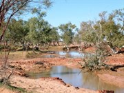Dripie Creek