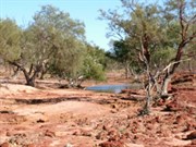 Dripie Creek